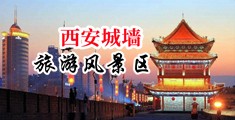 玩少妇乳交网浪潮中国陕西-西安城墙旅游风景区